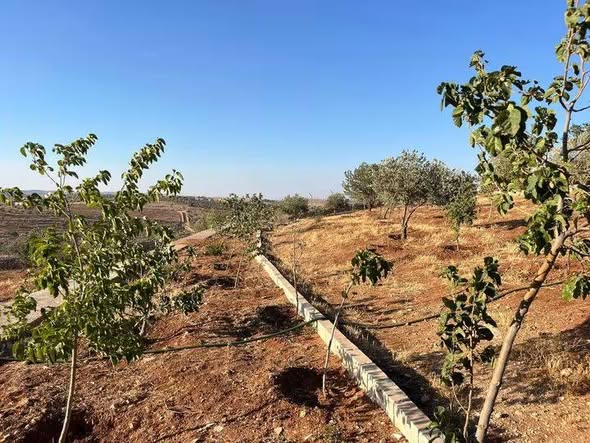 مزرعة فاخرة للبيع باطلالات ساحرة