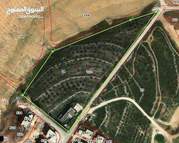 أرض استثمارية ضخمة للبيع في الرصيفة