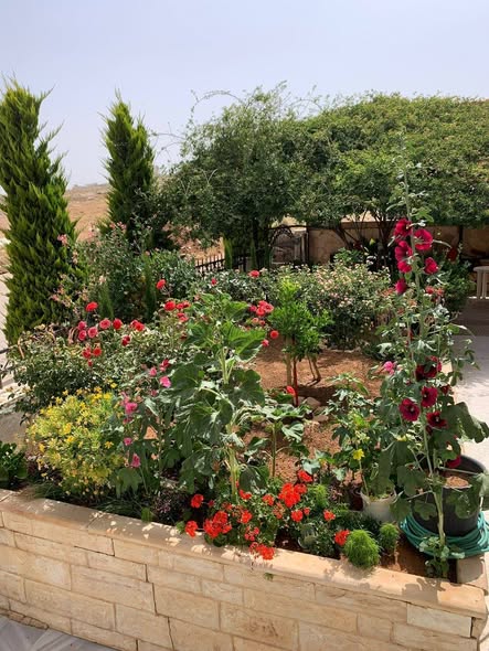 فيلا فاخرة للبيع في شفا بدران – فرصة استثمارية نادرة