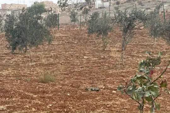 أرض زراعية وسكنية فاخرة للبيع في جرش - مساحة 3.5 دونم