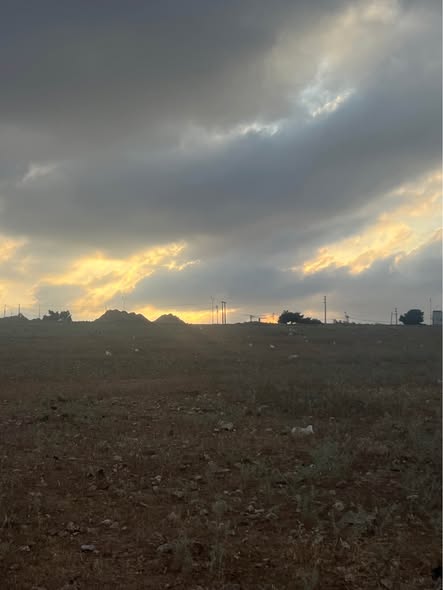 أرض سكنية للبيع في الطفيلة - 5