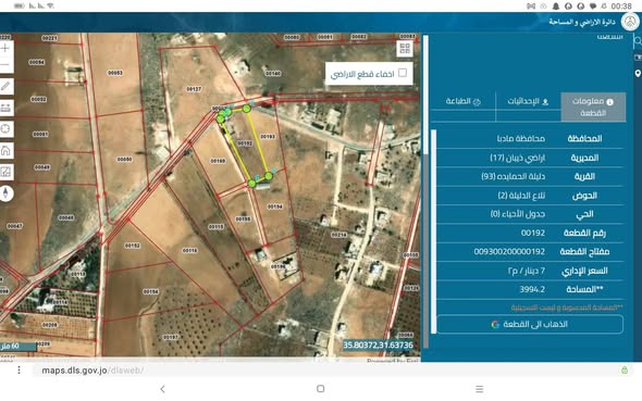 مزرعة زيتون استثنائية مع بيت ريفي في مادبا - 3