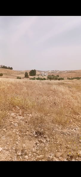 أرض زراعية شاسعة للبيع في المفرق مع خدمات كهرباء - 3