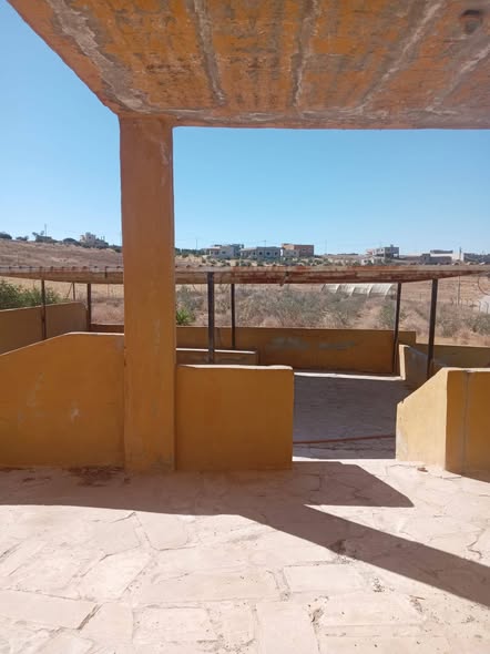 مزرعة زيتون للبيع في مادبا - 2