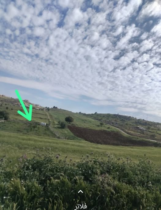 أرض للبيع في عجلون - مساحة دونم بسعر مغري