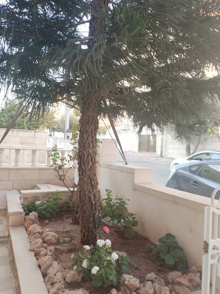 شقة فاخرة للإيجار في الشميساني - عمان - 2