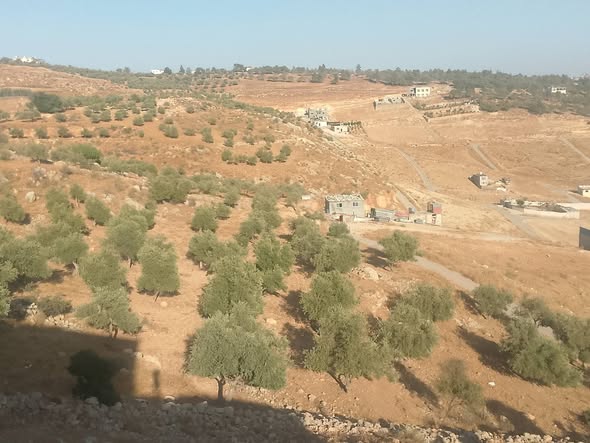 فرصة ذهبية للاستثمار في جرش - 3