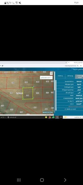 أرض استثمارية في الذهيبة الغربية - 2