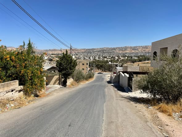 فرصة ذهبية – أرض للبيع في عين الباشا على شارعين - 2