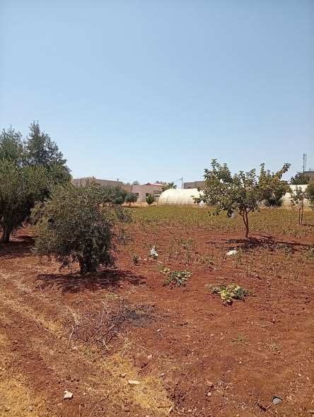 أرض استثمارية فاخرة بموقع مميز على شارعين - 1265م - 2