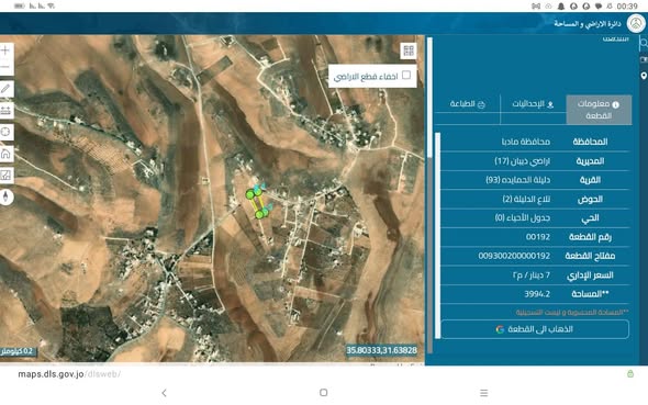 مزرعة زيتون استثنائية مع بيت ريفي في مادبا - 4